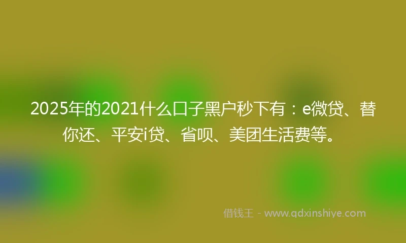 2025年的2021什么口子黑户秒下有：e微贷、替你还、平安i贷、省呗、美团生活费等。