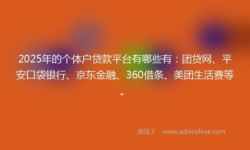 2025年的个体户贷款平台有哪些有：团贷网、平安口袋银行、京东金融、360借条、美团生活费等。