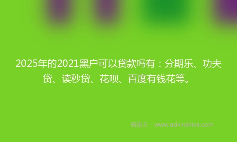2025年的2021黑户可以贷款吗有：分期乐、功夫贷、读秒贷、花呗、百度有钱花等。