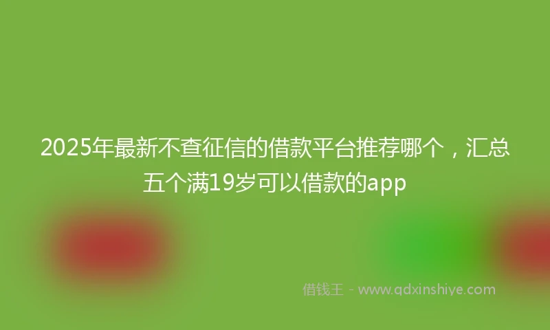 2025年最新不查征信的借款平台推荐哪个，汇总五个满19岁可以借款的app