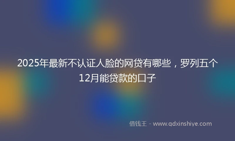 2025年最新不认证人脸的网贷有哪些，罗列五个12月能贷款的口子