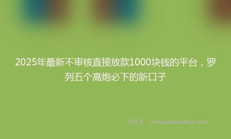 2025年最新不审核直接放款1000块钱的平台，罗列五个高炮必下的新口子