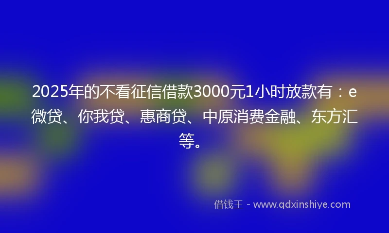 2025年的不看征信借款3000元1小时放款有：e微贷、你我贷、惠商贷、中原消费金融、东方汇等。
