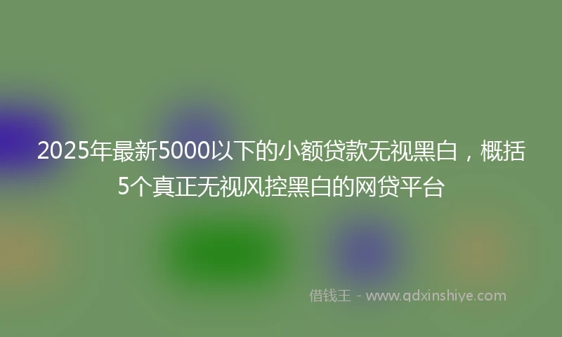 2025年最新5000以下的小额贷款无视黑白，概括5个真正无视风控黑白的网贷平台