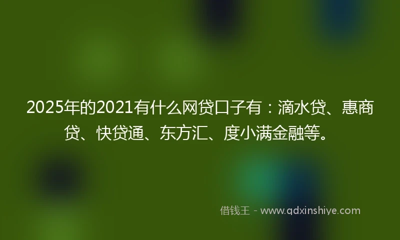 2025年的2021有什么网贷口子有：滴水贷、惠商贷、快贷通、东方汇、度小满金融等。