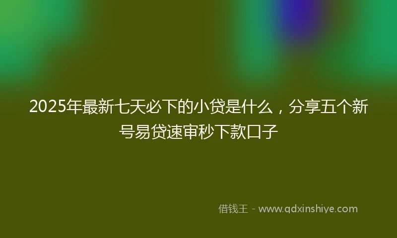 2025年最新七天必下的小贷是什么，分享五个新号易贷速审秒下款口子