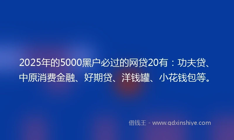 2025年的5000黑户必过的网贷20有：功夫贷、中原消费金融、好期贷、洋钱罐、小花钱包等。