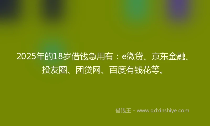 2025年的18岁借钱急用有：e微贷、京东金融、投友圈、团贷网、百度有钱花等。