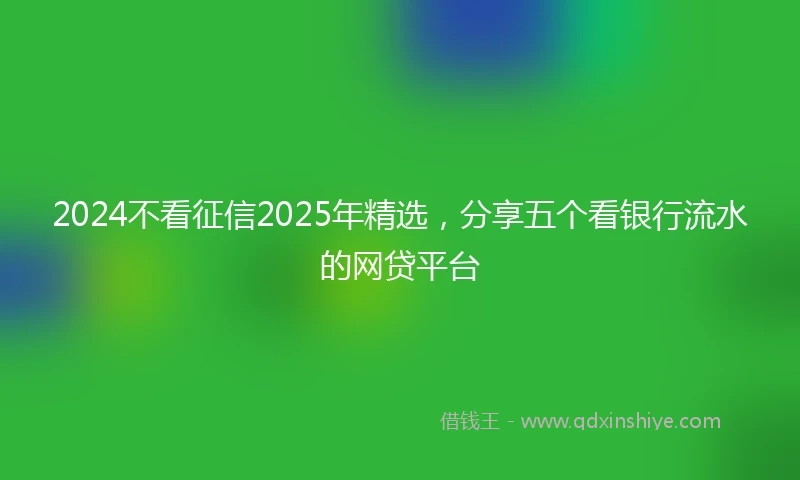 2024不看征信2025年精选，分享五个看银行流水的网贷平台