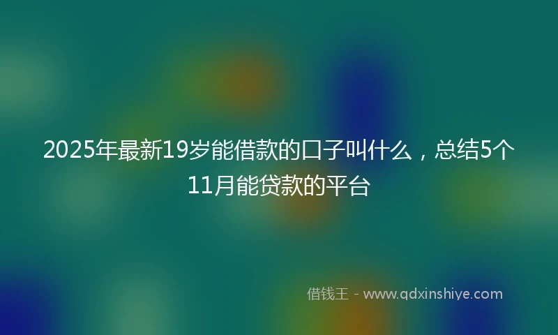 2025年最新19岁能借款的口子叫什么，总结5个11月能贷款的平台