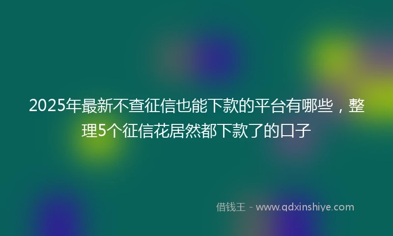 2025年最新不查征信也能下款的平台有哪些，整理5个征信花居然都下款了的口子