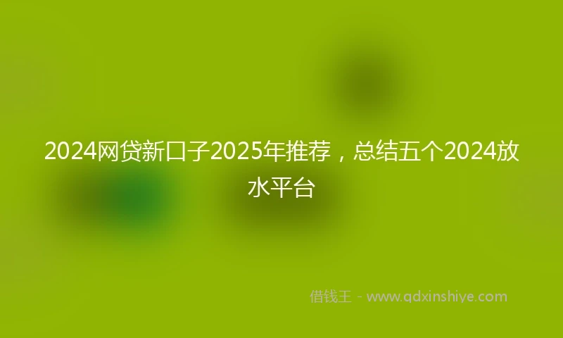 2024网贷新口子2025年推荐，总结五个2024放水平台
