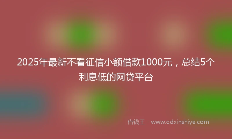 2025年最新不看征信小额借款1000元，总结5个利息低的网贷平台