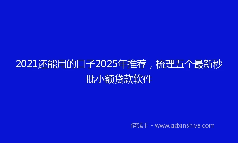2021还能用的口子2025年推荐，梳理五个最新秒批小额贷款软件