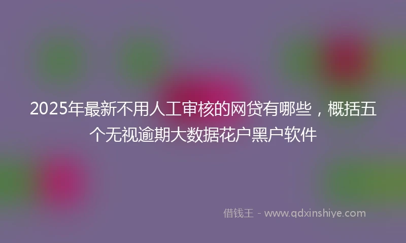 2025年最新不用人工审核的网贷有哪些，概括五个无视逾期大数据花户黑户软件