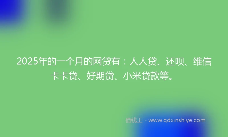 2025年的一个月的网贷有：人人贷、还呗、维信卡卡贷、好期贷、小米贷款等。