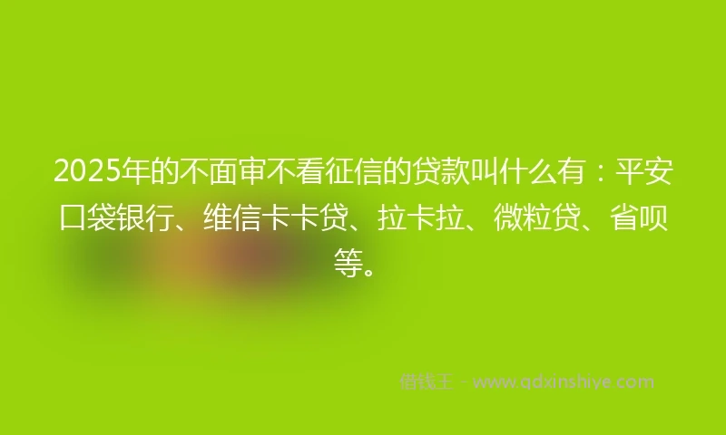 2025年的不面审不看征信的贷款叫什么有：平安口袋银行、维信卡卡贷、拉卡拉、微粒贷、省呗等。