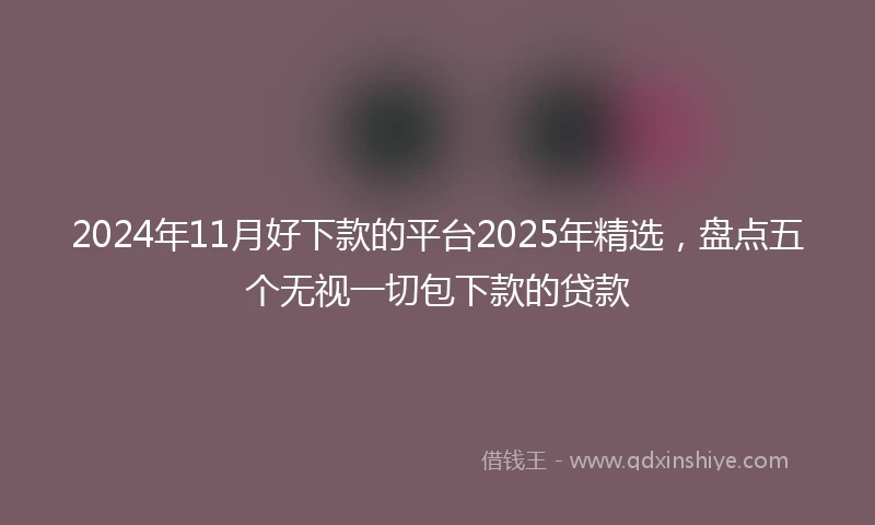 2024年11月好下款的平台2025年精选，盘点五个无视一切包下款的贷款