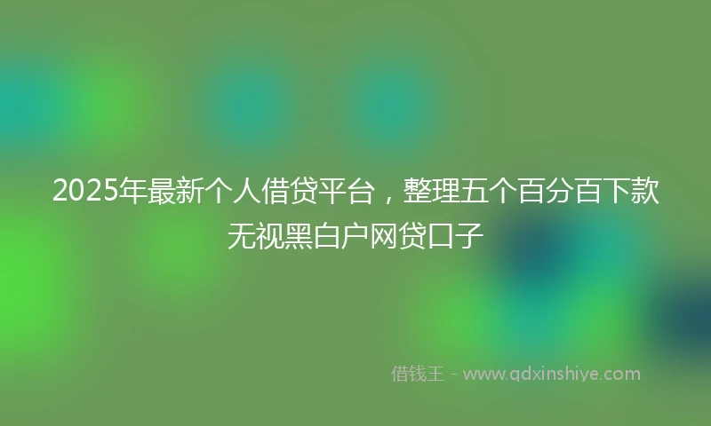 2025年最新个人借贷平台，整理五个百分百下款无视黑白户网贷口子