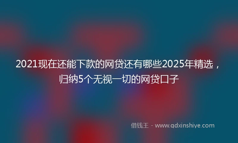 2021现在还能下款的网贷还有哪些2025年精选，归纳5个无视一切的网贷口子