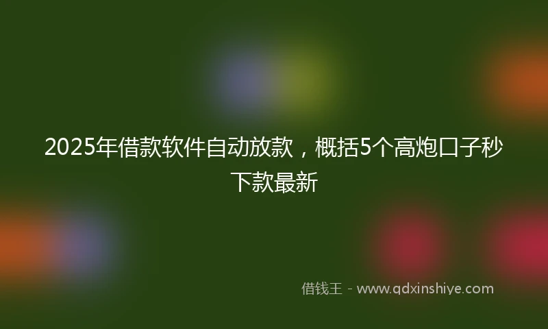 2025年借款软件自动放款，概括5个高炮口子秒下款最新