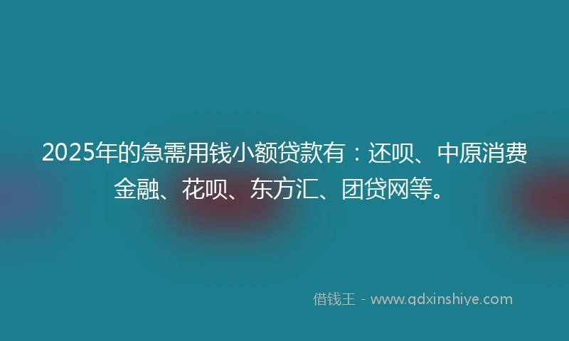 2025年的急需用钱小额贷款有：还呗、中原消费金融、花呗、东方汇、团贷网等。