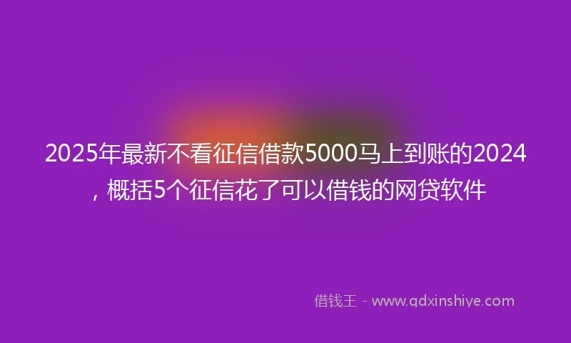 2025年最新不看征信借款5000马上到账的2024，概括5个征信花了可以借钱的网贷软件