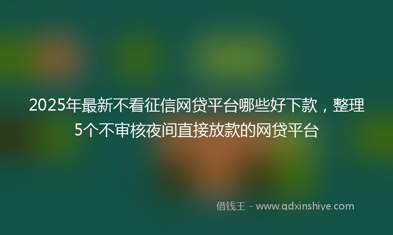 2025年最新不看征信网贷平台哪些好下款，整理5个不审核夜间直接放款的网贷平台