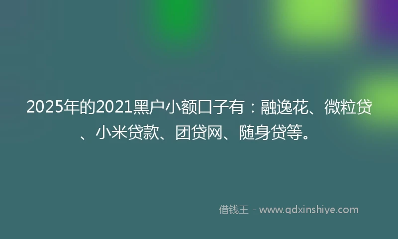 2025年的2021黑户小额口子有：融逸花、微粒贷、小米贷款、团贷网、随身贷等。