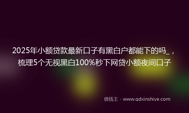 2025年小额贷款最新口子有黑白户都能下的吗_，梳理5个无视黑白100%秒下网贷小额夜间口子