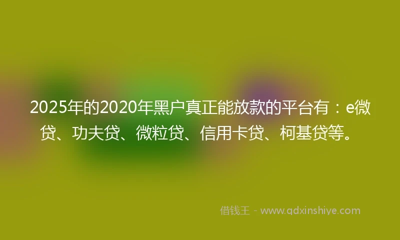 2025年的2020年黑户真正能放款的平台有：e微贷、功夫贷、微粒贷、信用卡贷、柯基贷等。