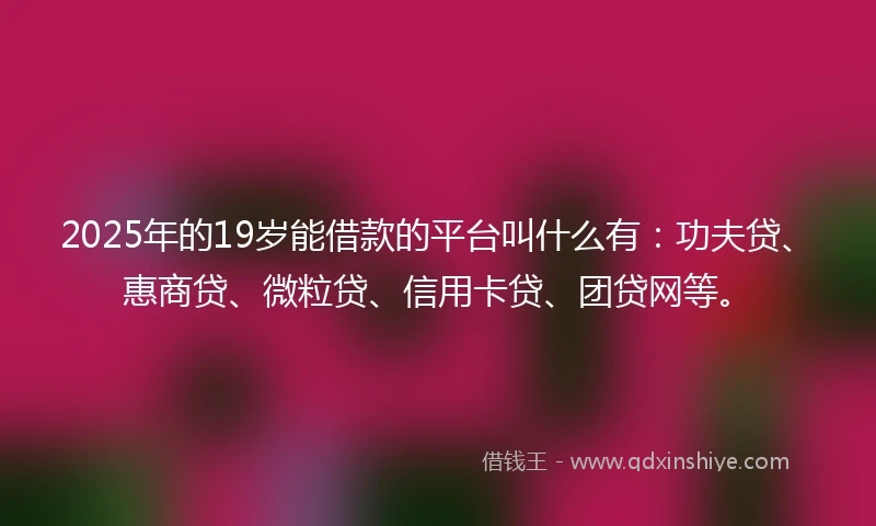 2025年的19岁能借款的平台叫什么有：功夫贷、惠商贷、微粒贷、信用卡贷、团贷网等。