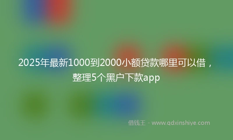 2025年最新1000到2000小额贷款哪里可以借，整理5个黑户下款app