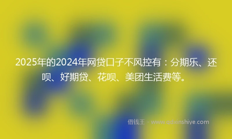 2025年的2024年网贷口子不风控有：分期乐、还呗、好期贷、花呗、美团生活费等。