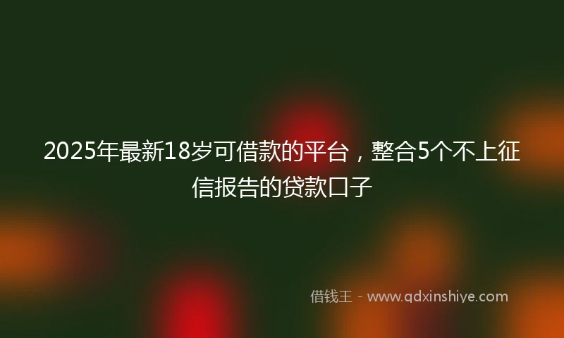 2025年最新18岁可借款的平台，整合5个不上征信报告的贷款口子