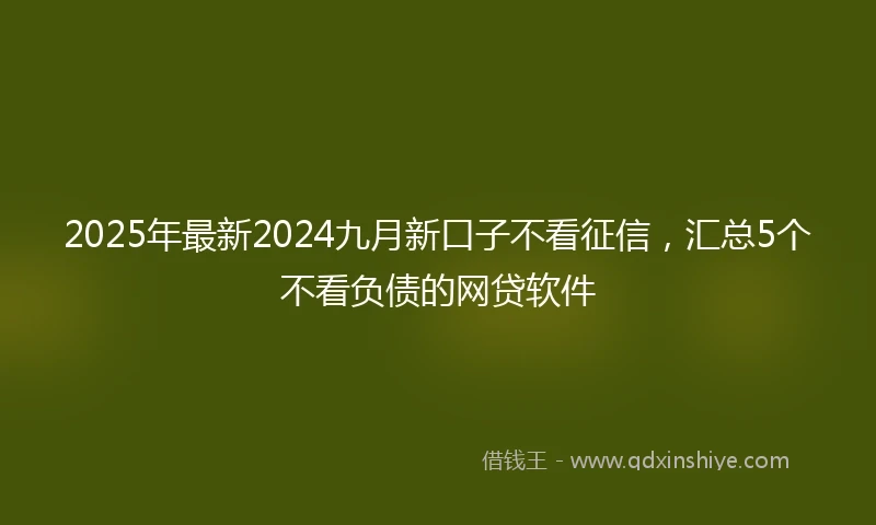 2025年最新2024九月新口子不看征信，汇总5个不看负债的网贷软件