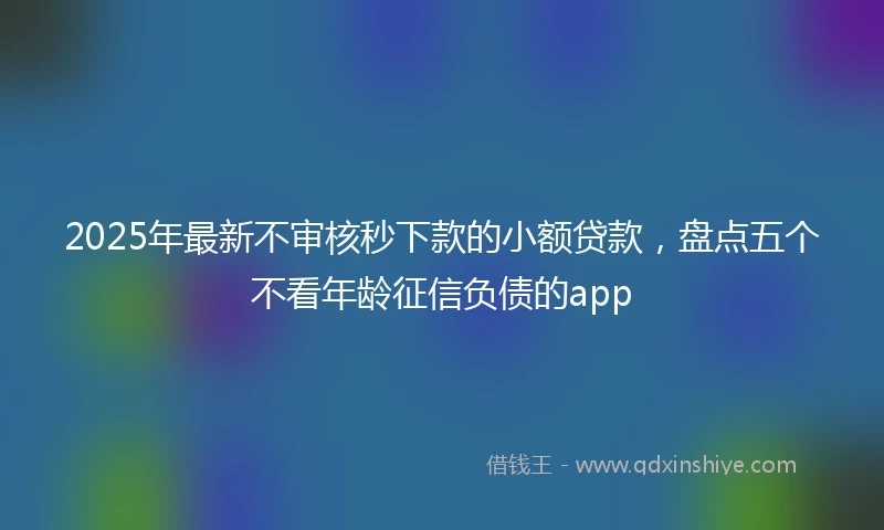 2025年最新不审核秒下款的小额贷款，盘点五个不看年龄征信负债的app