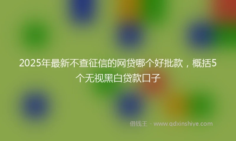 2025年最新不查征信的网贷哪个好批款，概括5个无视黑白贷款口子