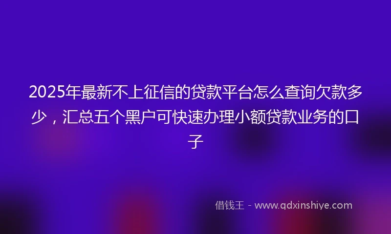 2025年最新不上征信的贷款平台怎么查询欠款多少，汇总五个黑户可快速办理小额贷款业务的口子