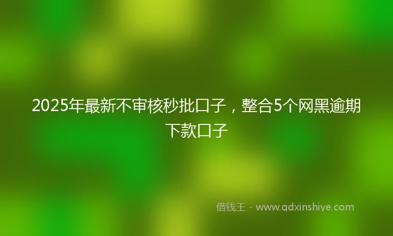 2025年最新不审核秒批口子，整合5个网黑逾期下款口子