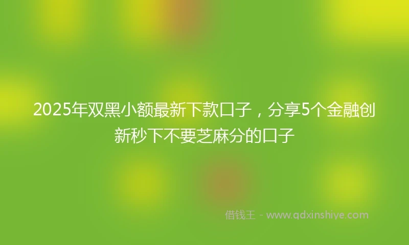 2025年双黑小额最新下款口子，分享5个金融创新秒下不要芝麻分的口子