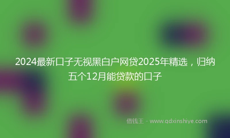 2024最新口子无视黑白户网贷2025年精选，归纳五个12月能贷款的口子