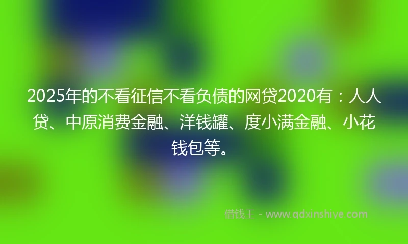2025年的不看征信不看负债的网贷2020有：人人贷、中原消费金融、洋钱罐、度小满金融、小花钱包等。