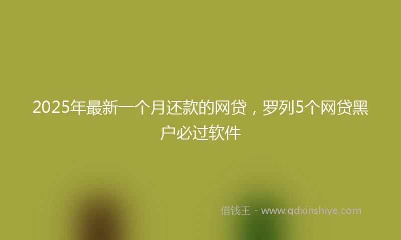 2025年最新一个月还款的网贷，罗列5个网贷黑户必过软件