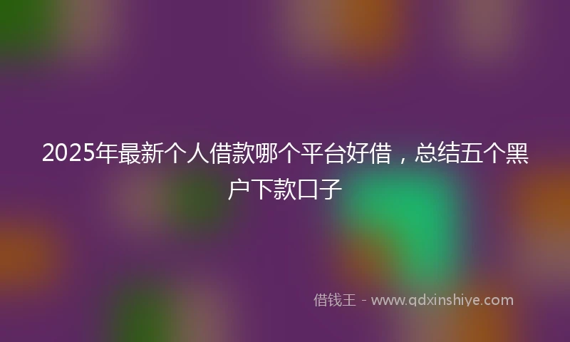 2025年最新个人借款哪个平台好借，总结五个黑户下款口子