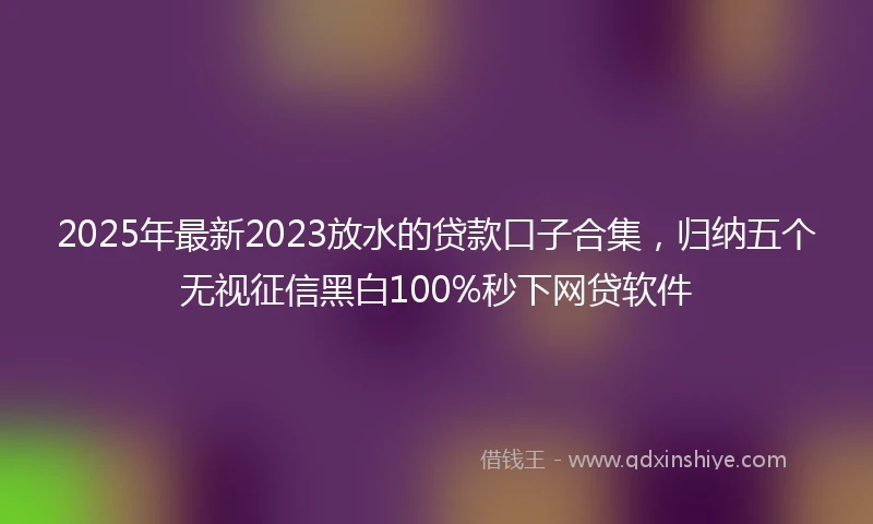 2025年最新2023放水的贷款口子合集，归纳五个无视征信黑白100%秒下网贷软件