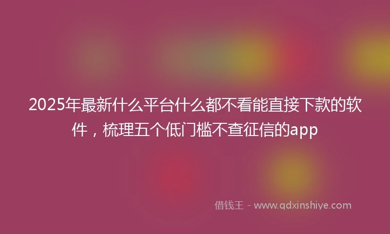 2025年最新什么平台什么都不看能直接下款的软件，梳理五个低门槛不查征信的app