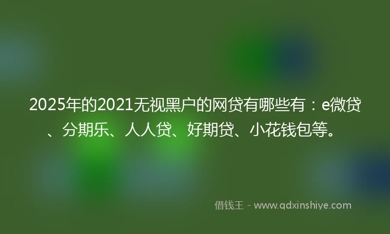 2025年的2021无视黑户的网贷有哪些有：e微贷、分期乐、人人贷、好期贷、小花钱包等。
