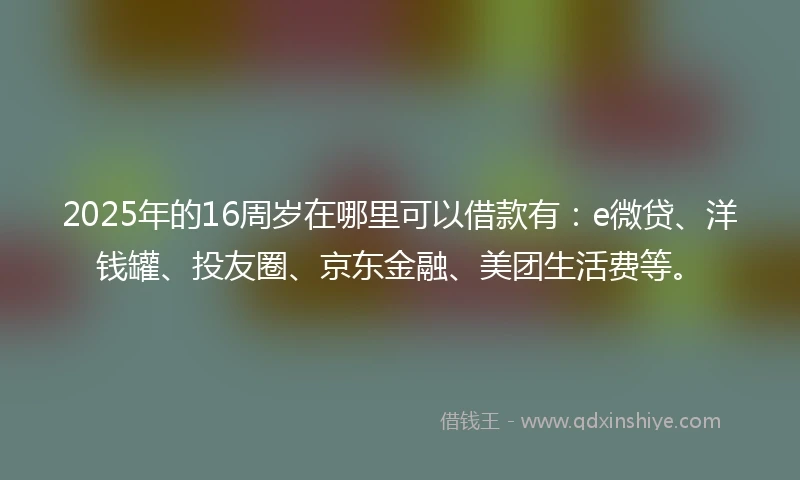 2025年的16周岁在哪里可以借款有：e微贷、洋钱罐、投友圈、京东金融、美团生活费等。