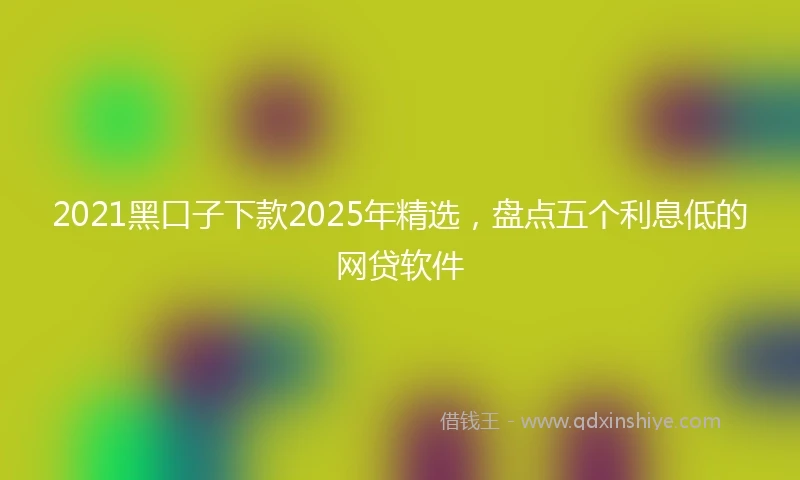 2021黑口子下款2025年精选，盘点五个利息低的网贷软件